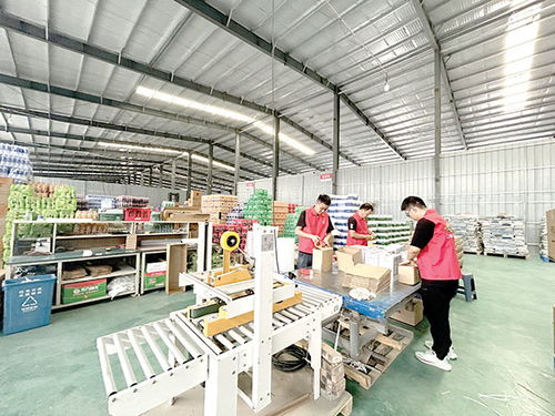 筑巢引商兴产业，日用品销售绘就乡村新画卷